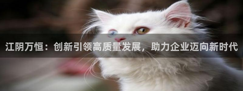 娱乐播放万事屋