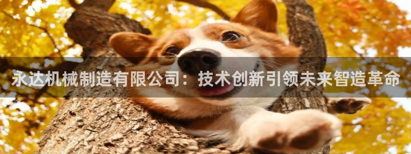 万事娱乐云机
