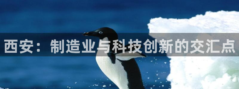 娱乐人万事屋