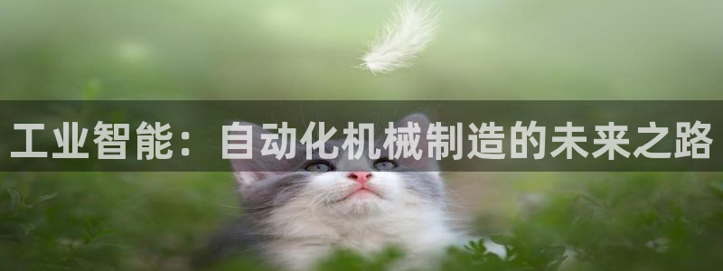 万事达娱乐朱善良