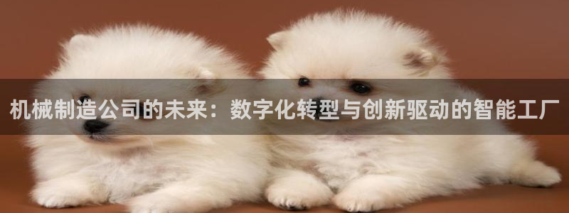 万事达娱乐网址