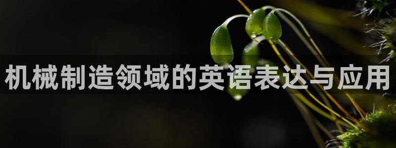 万事娱乐官网登录