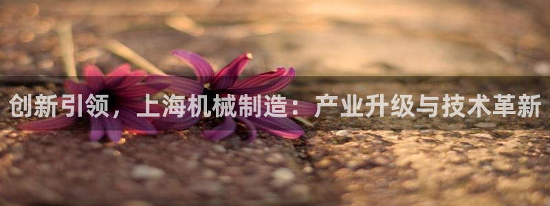 万事ok娱乐交友