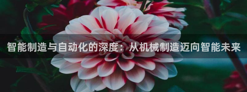 万事如意娱乐