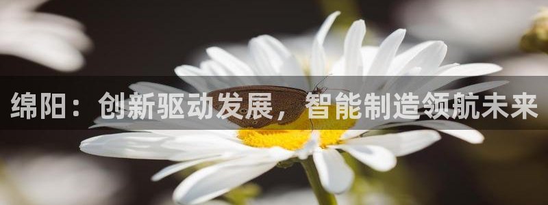 万事达娱乐到55 12