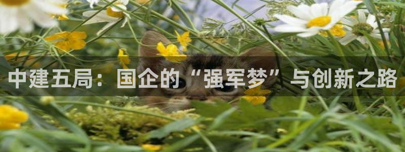 万事达娱乐设施