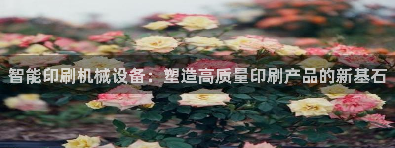 万事娱乐网址多少