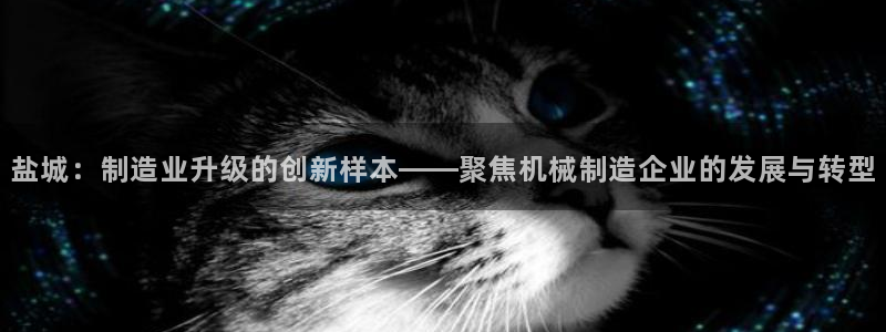 万事娱乐总代