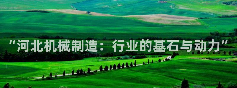 万事达娱乐f 判官