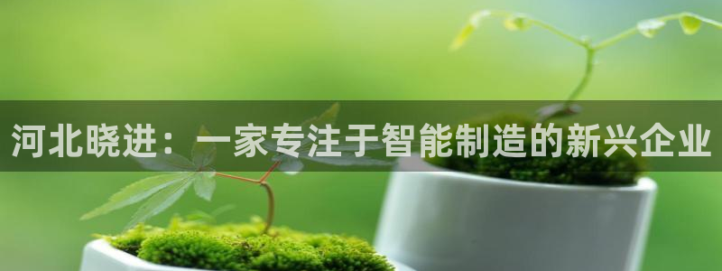 万事达娱乐上55312