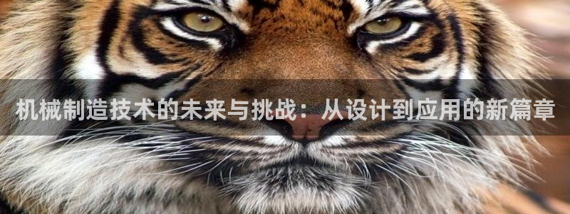 万事屋电玩娱乐上班