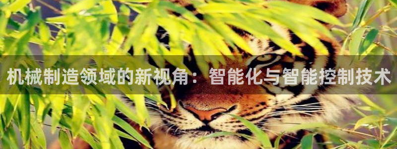 万事达娱乐 招商