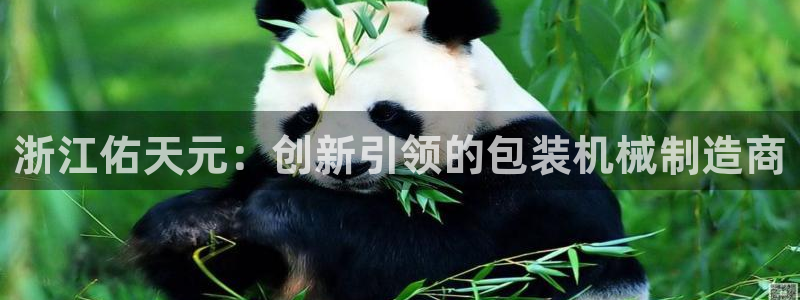 万事娱乐主管薪资结构