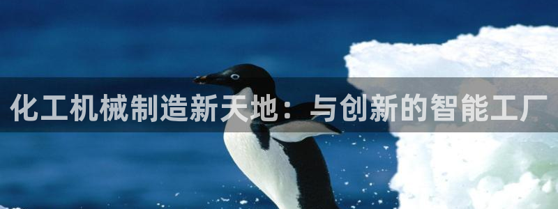 万事达娱乐荣誉21