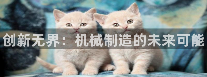 万事娱乐判决书