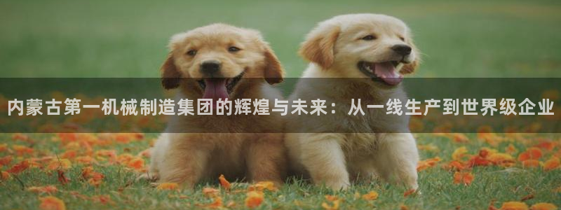 万事皆娱乐