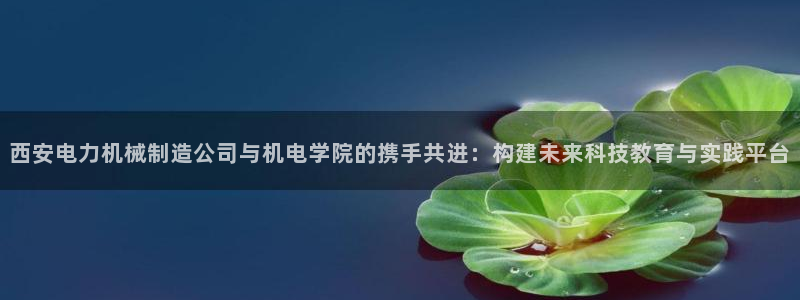 万事达娱乐d实力56262