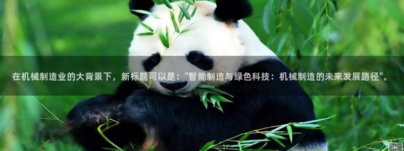 万事达娱乐 招商