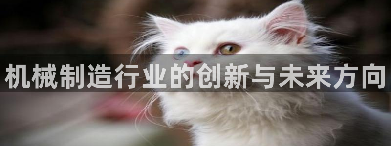 万事娱乐登录地址