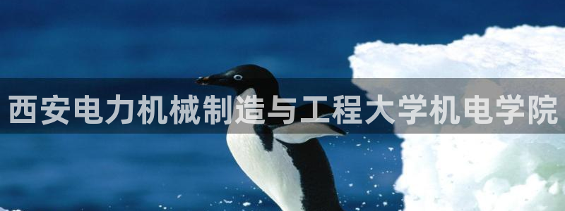 万事娱乐怎么样