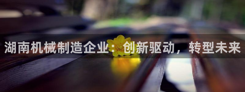 万事达娱乐登录