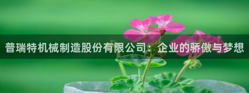 万事如意娱乐平台