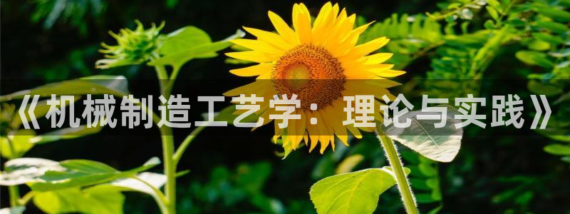 娱乐万事通直播