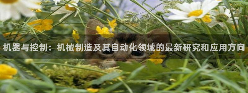 万事娱乐登录注册失败