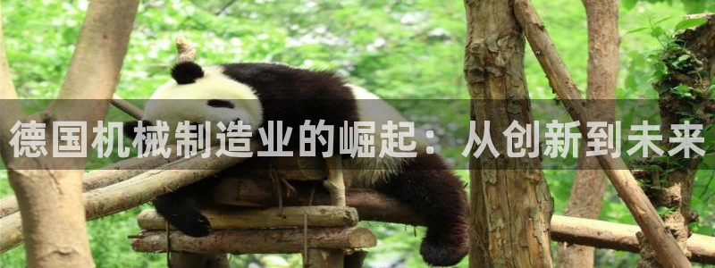 万事娱乐成立
