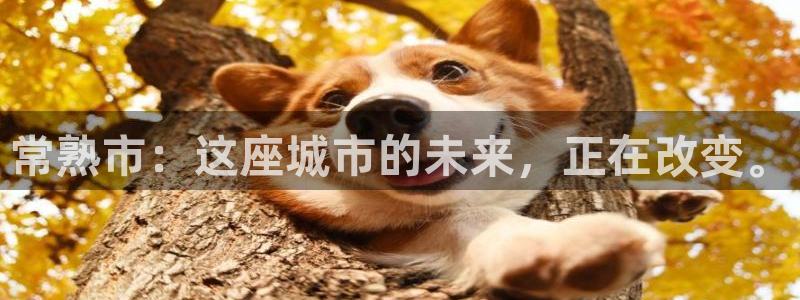 万事2娱乐怎么样