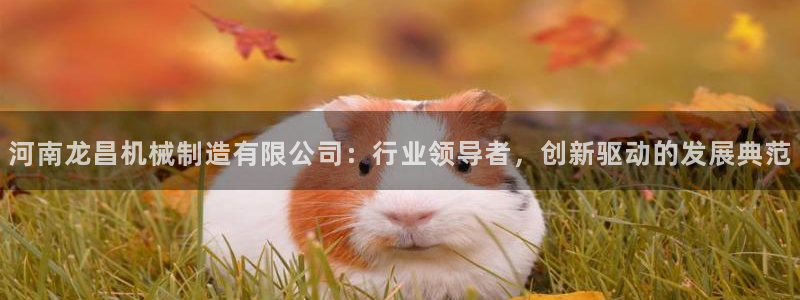 万事娱乐首页入口