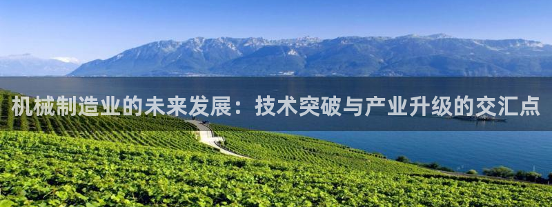 万事娱乐 找86555