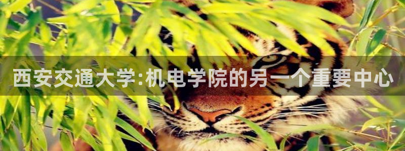 万事达娱乐股东