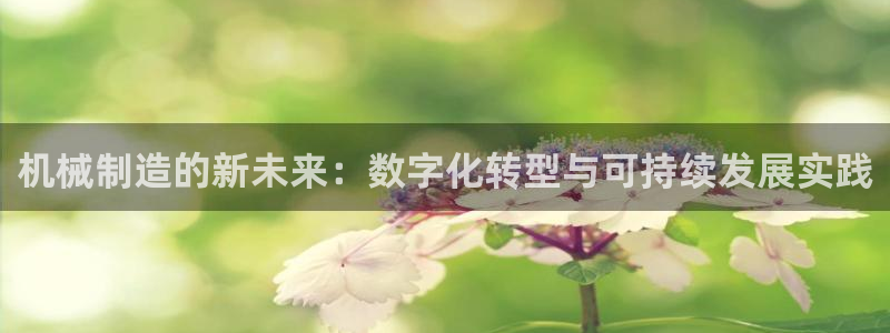 万事娱乐注册平台