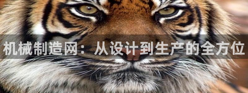 万事娱乐怎么分享