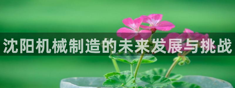 万事娱乐代理加盟