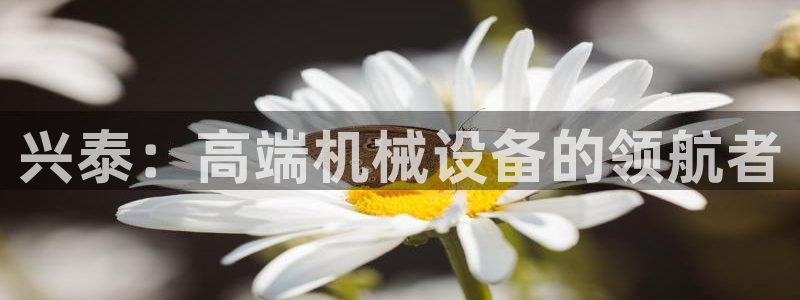 万事其昌娱乐传媒