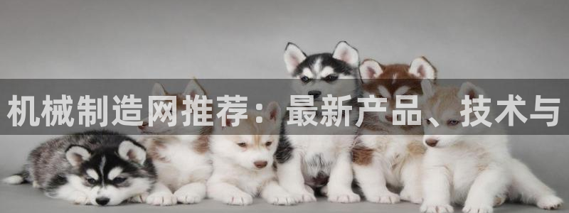 万事娱乐他49403