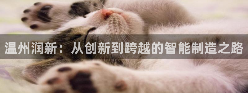 娱乐节目万事屋